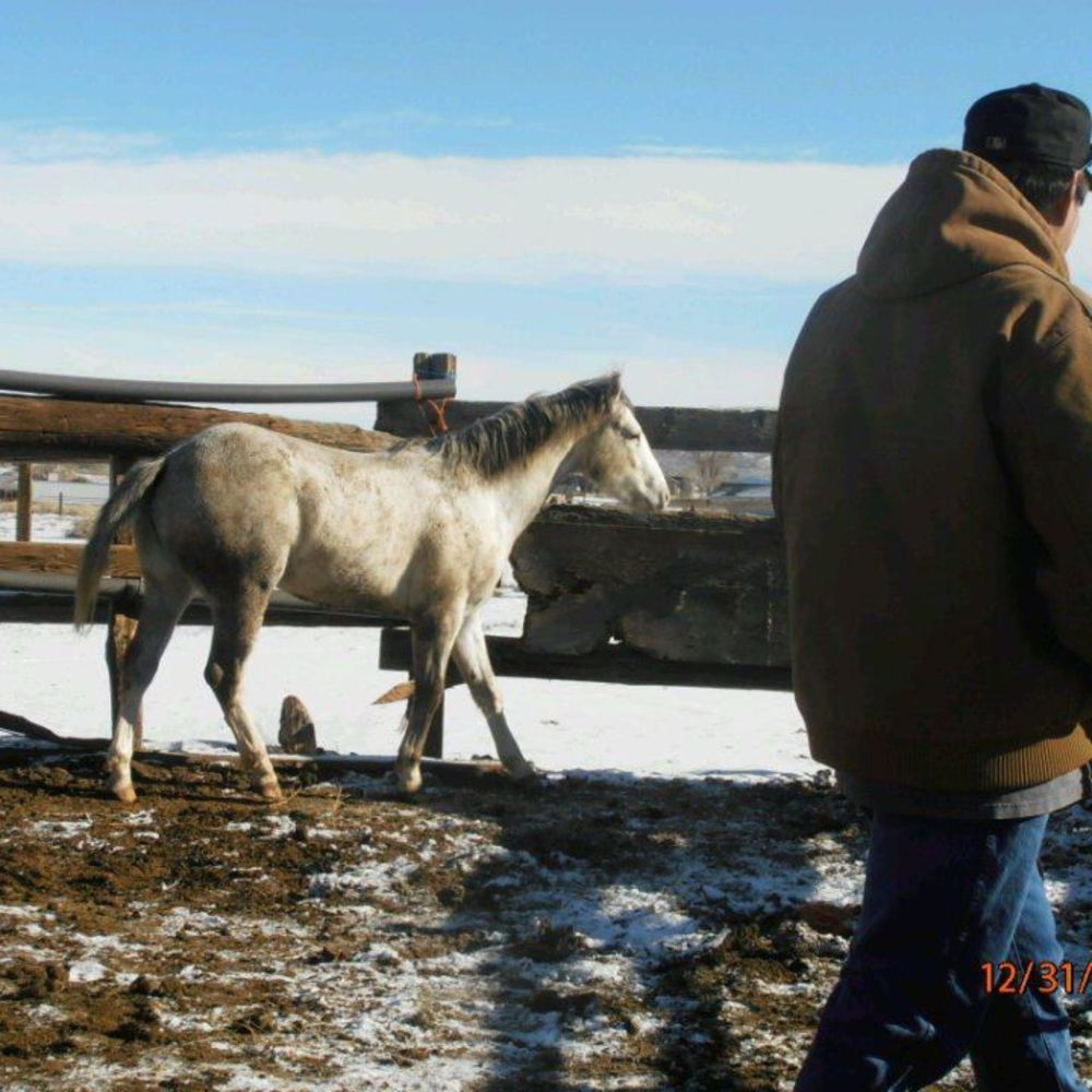 Meet your Posher, Randy